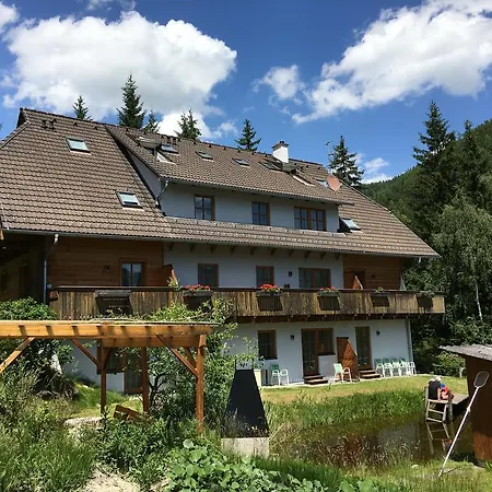 Landhaus Nockalm - Kaernten Card Sommer 2025 Inklusive Bad Kleinkirchheim Exterior photo